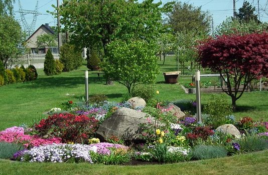 Ozdobny trawnik dla twojej posesji. ozdobny trawnik