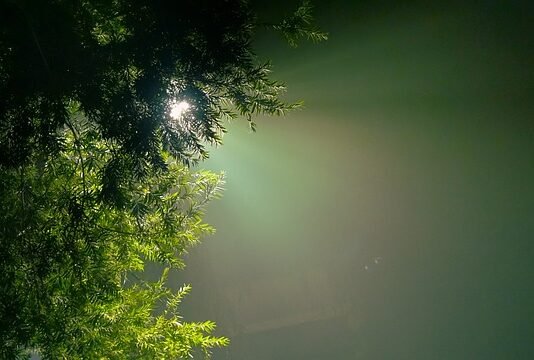 Jaka barwa światła lepsza zimną czy ciepła?