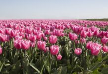 Jaka moc żarówek na taras?