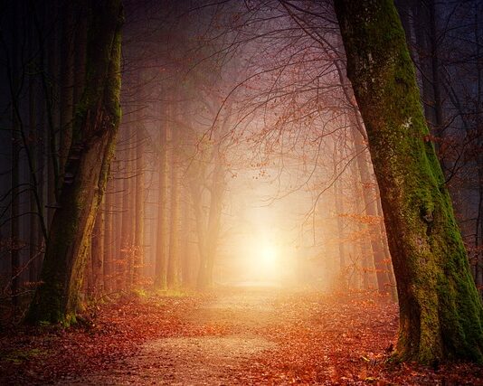 Jak zaprojektować oświetlenie zewnętrzne?