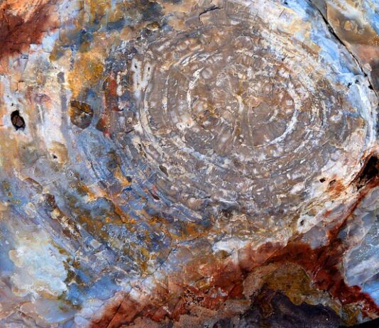 Czym odtłuścić przed Silikonowaniem?