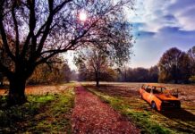 Jak działają dzwonki i zamki magnetyczne?