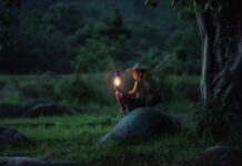 Jaka lampa solarna jest najlepsza? Jaka lampa solarna jest najlepsza?