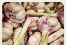 Co może śmierdzieć w pokoju?