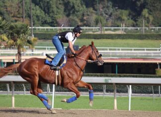 Jak oszukać podzielniki ciepła na kaloryferach? Jak oszukać podzielniki ciepła na kaloryferach?