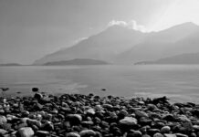 Ile kosztuje najtańszy model Tesli?