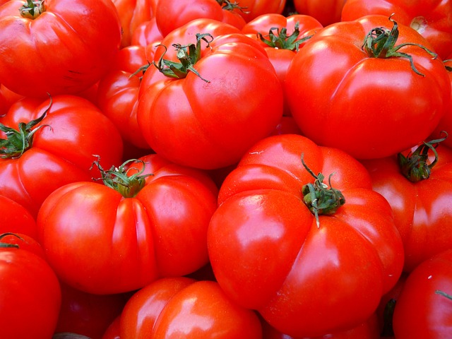 Jak sadzić pomidory w doniczce?